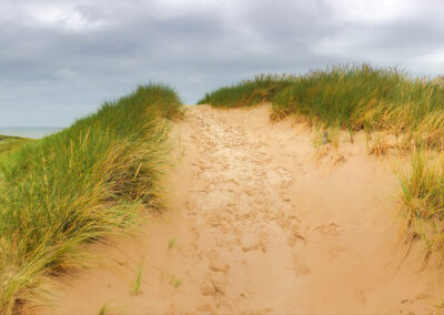 Duinen en zee